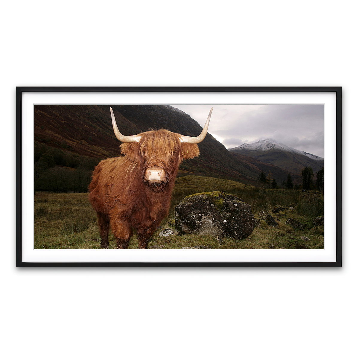 Framed Print 2x1 Black