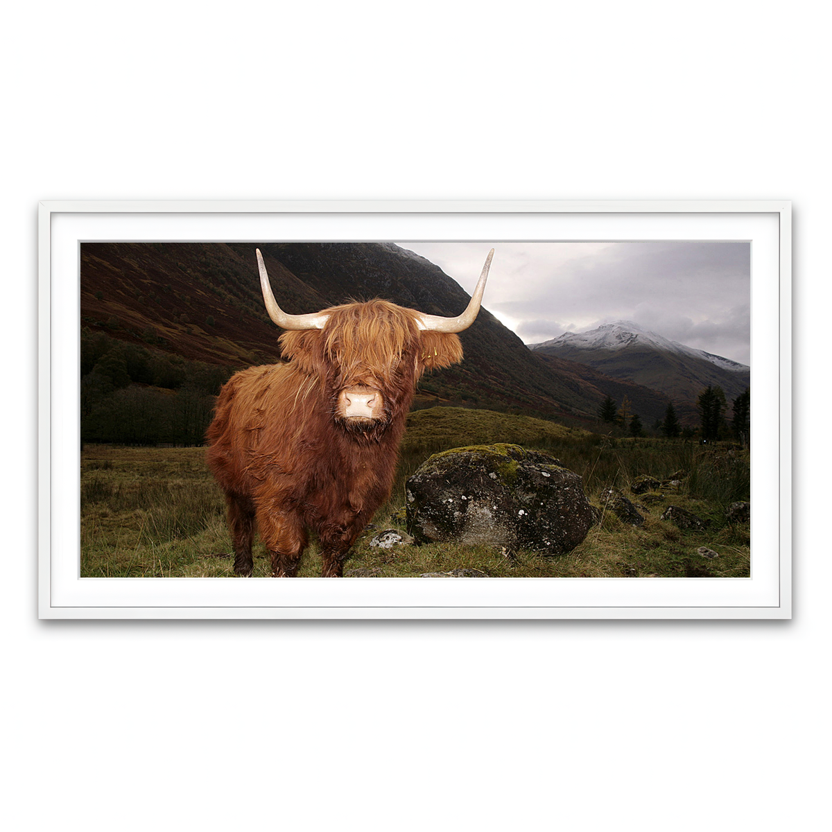 Framed Print 2x1 White