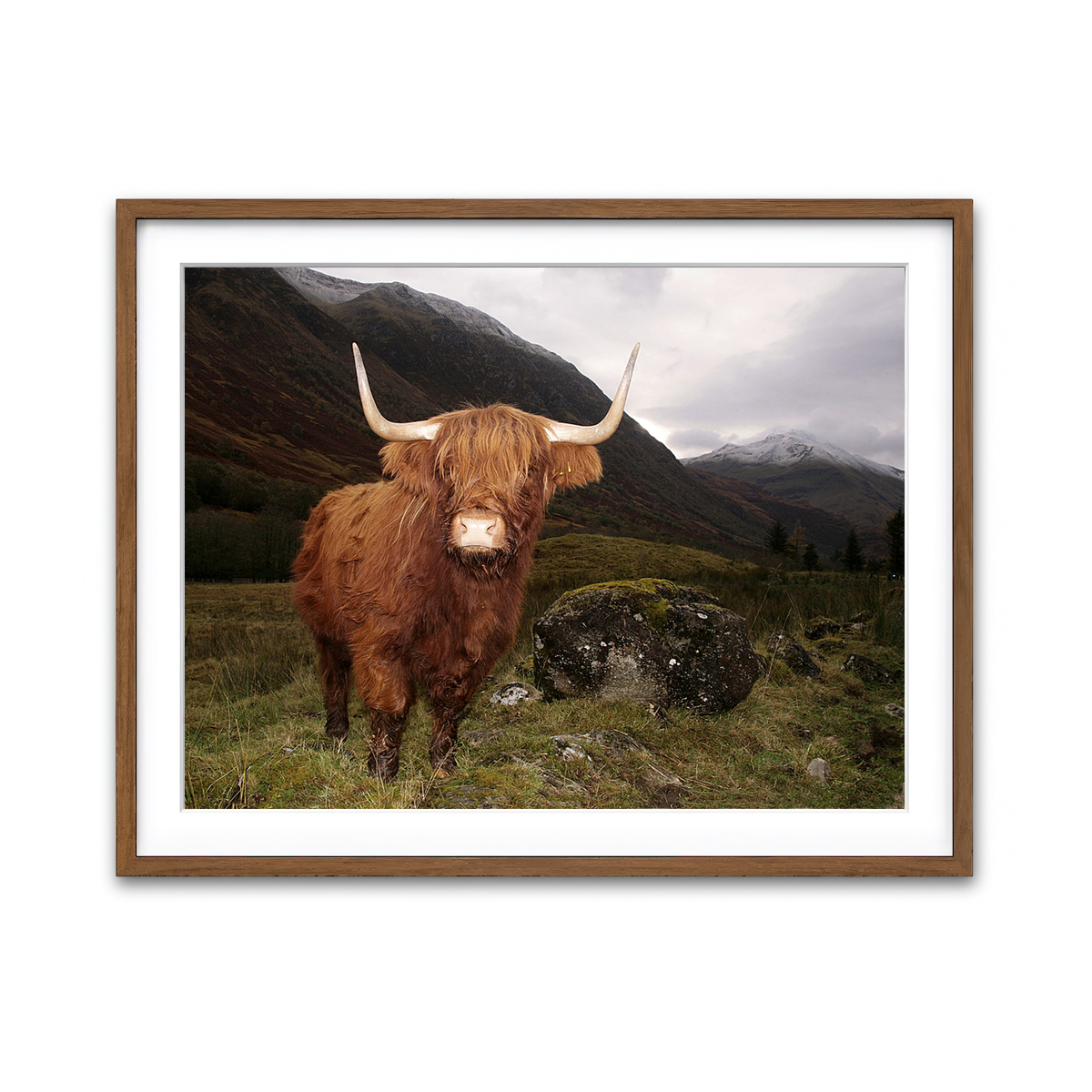 Framed Print 4x3 Walnut