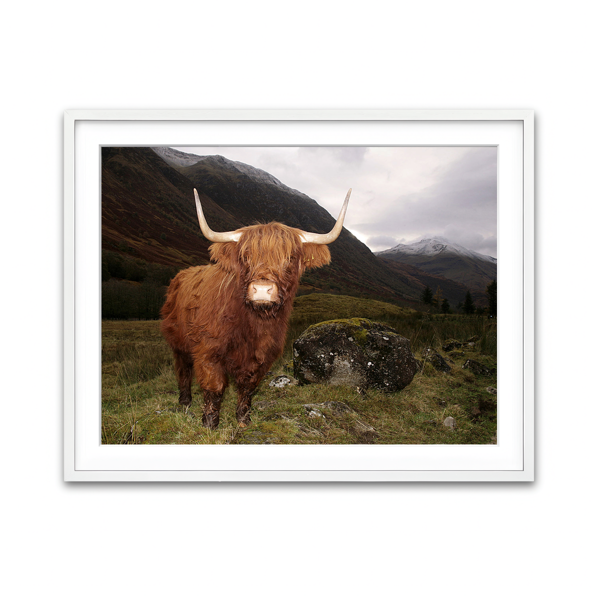 Framed Print 4x3 White