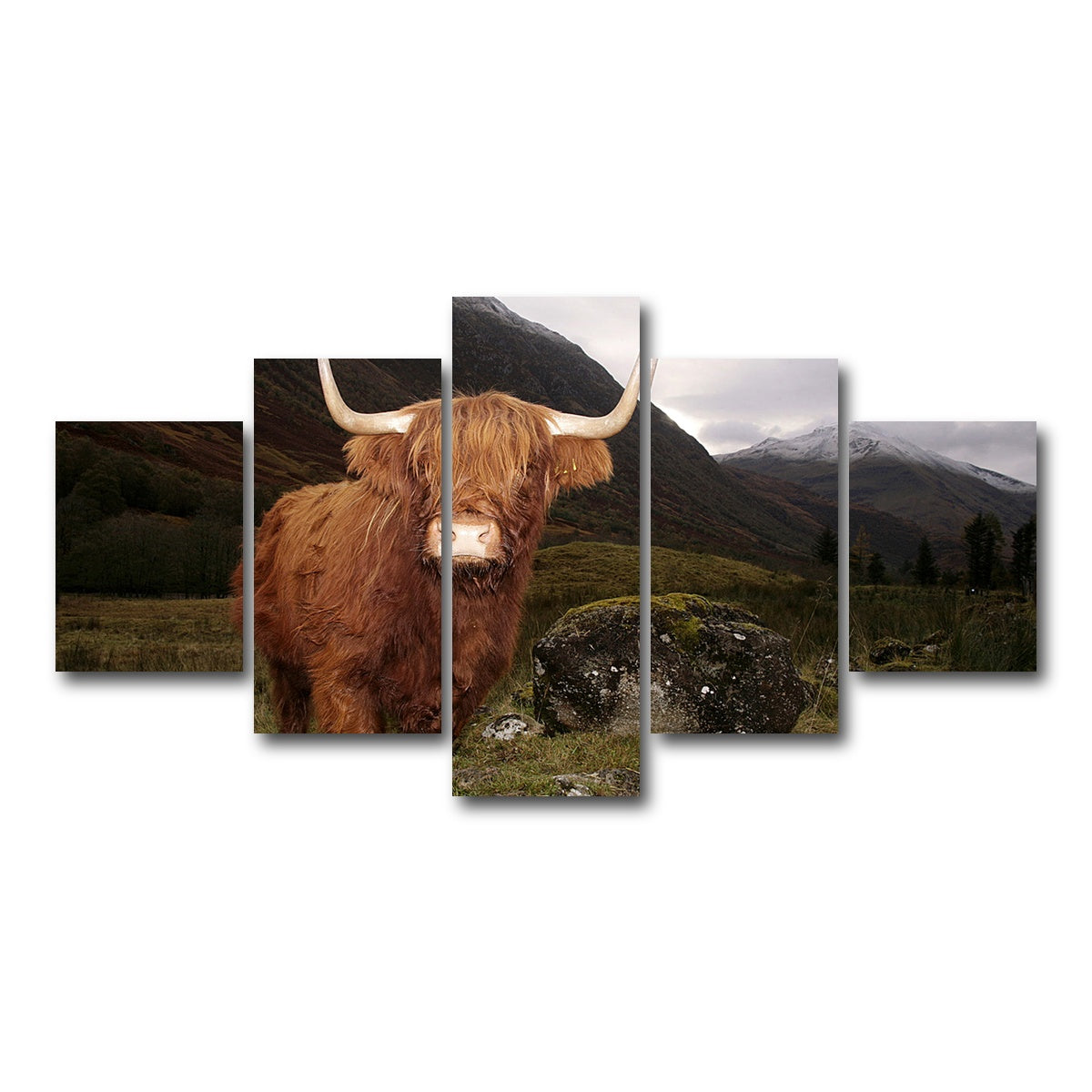 AUTO-MOCKUP WHITE | Highland cow in Glen Coe | 5 Piece | Gallery Wrap Canvas | group=5_short