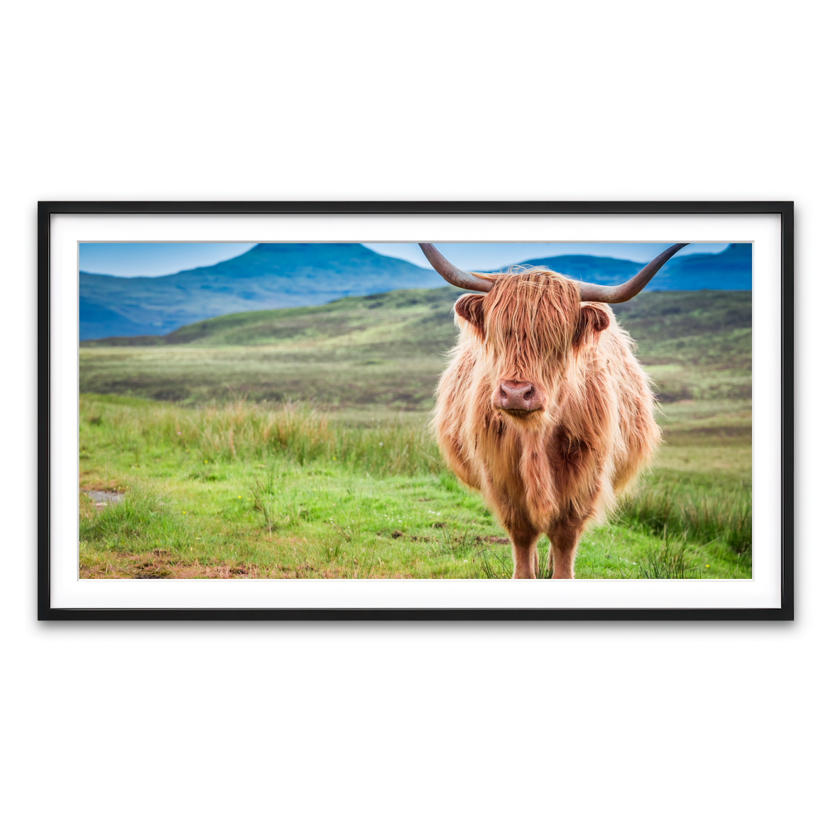 Framed Print 2x1 Black