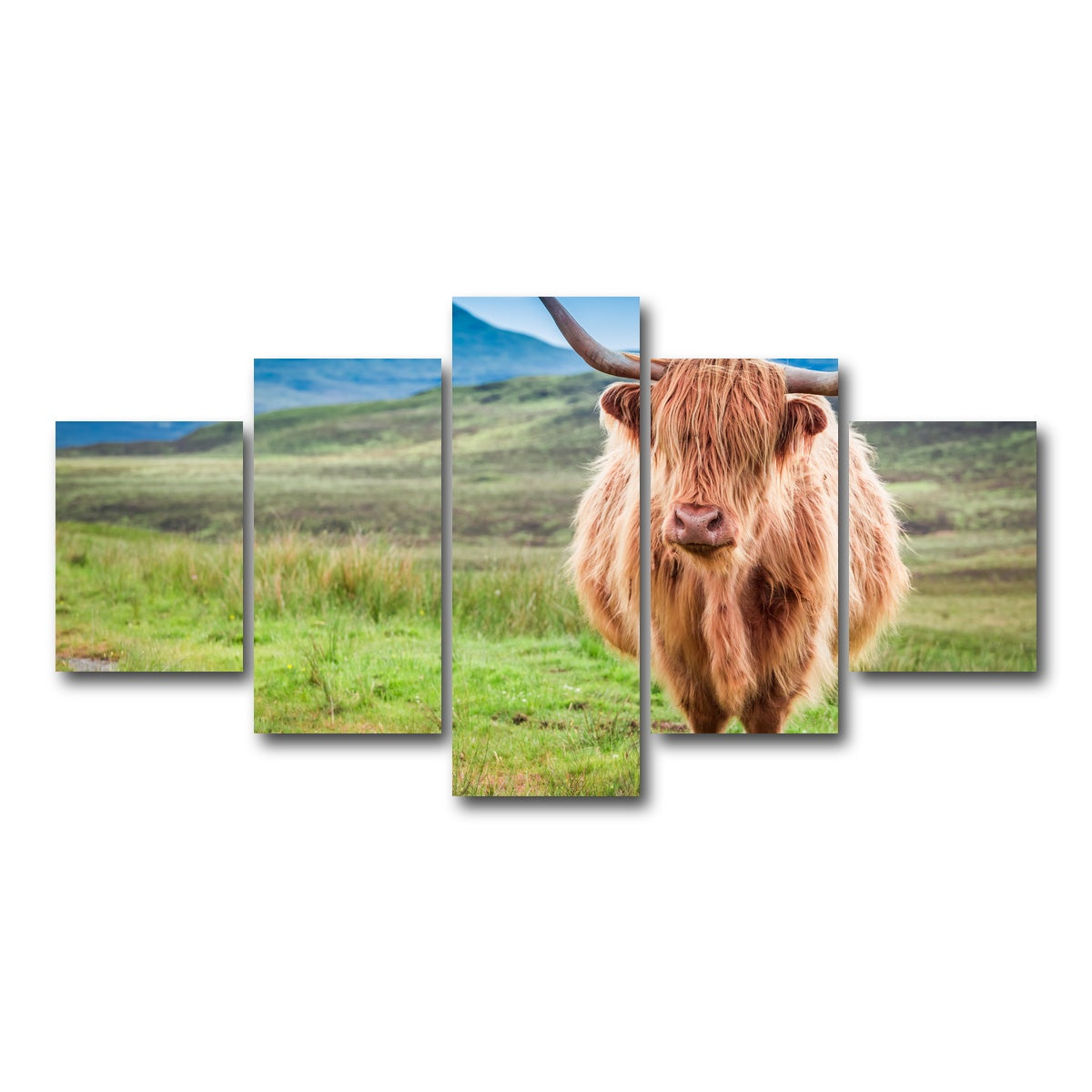 AUTO-MOCKUP WHITE | Highland cow in Isle of Skye | 5 Piece | Gallery Wrap Canvas | group=5_short