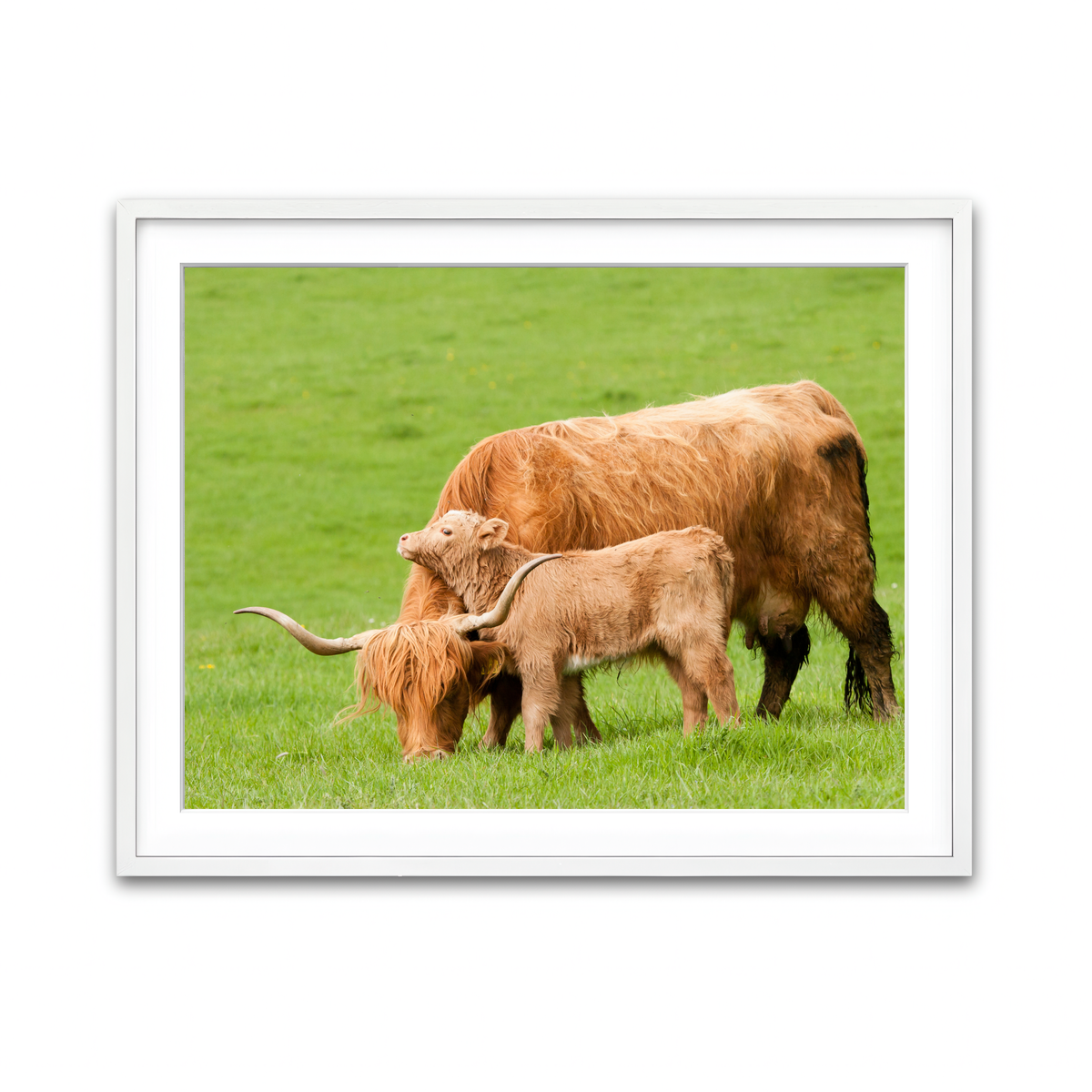Framed Print 4x3 White