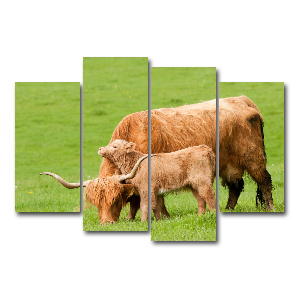 AUTO-MOCKUP WHITE | Highland cow with loving calf | 4 Piece | Gallery Wrap Canvas | group=4_short