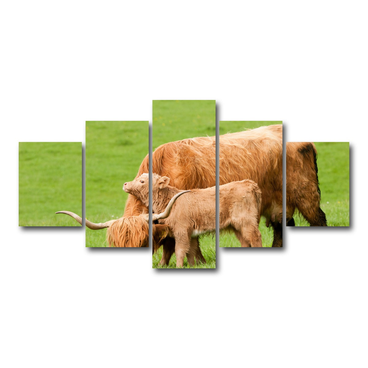 AUTO-MOCKUP WHITE | Highland cow with loving calf | 5 Piece | Gallery Wrap Canvas | group=5_short