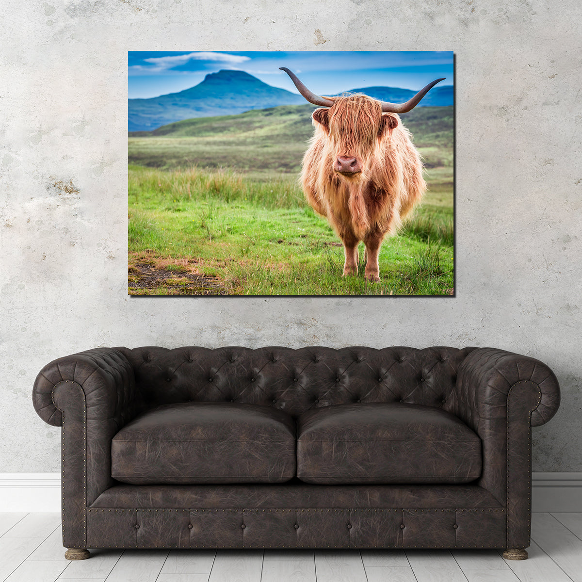 Highland Cow in Lsle of Skye Wall Art