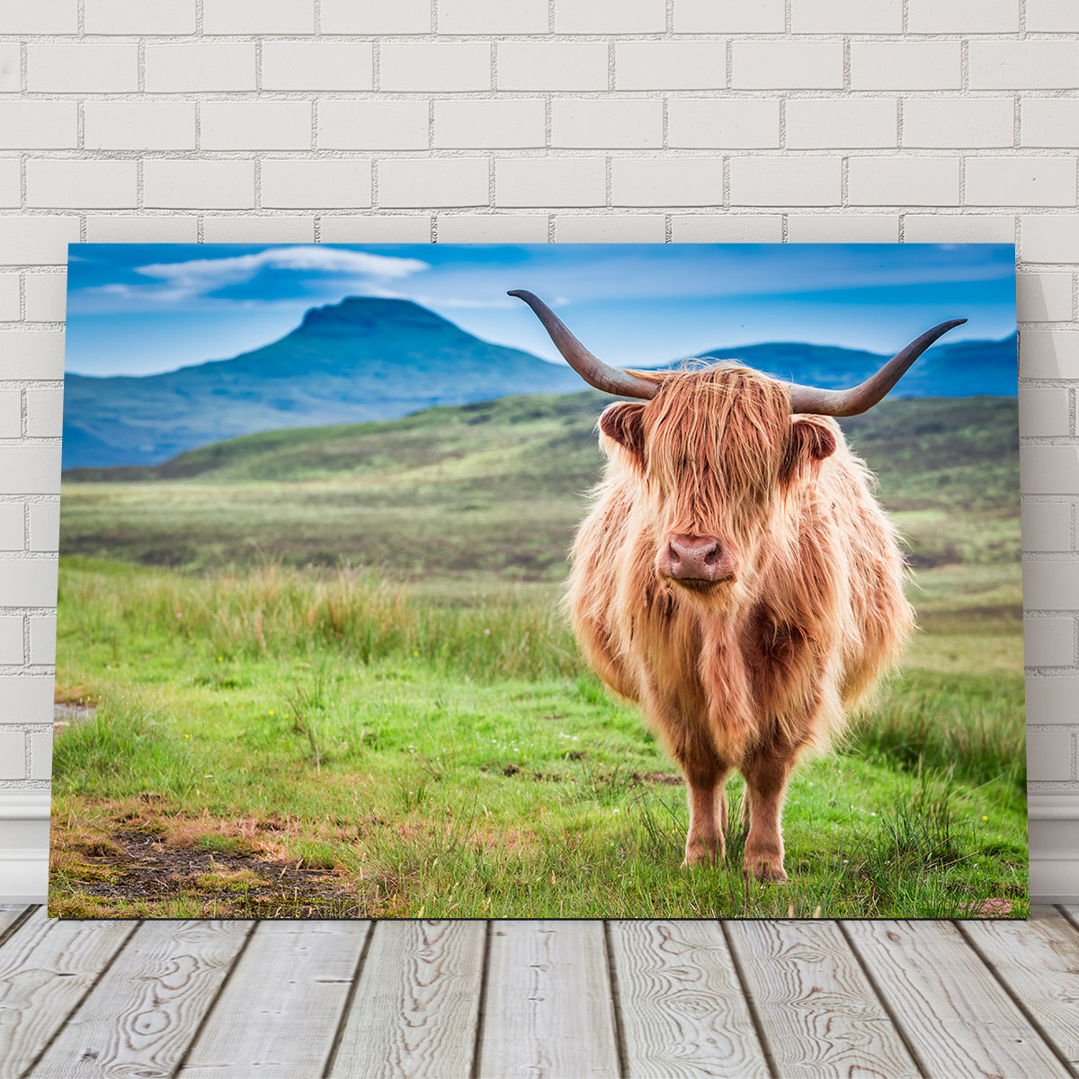 Highland Cow in Lsle of Skye Wall Art