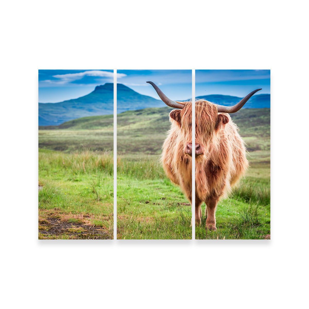Highland Cow in Lsle of Skye Wall Art