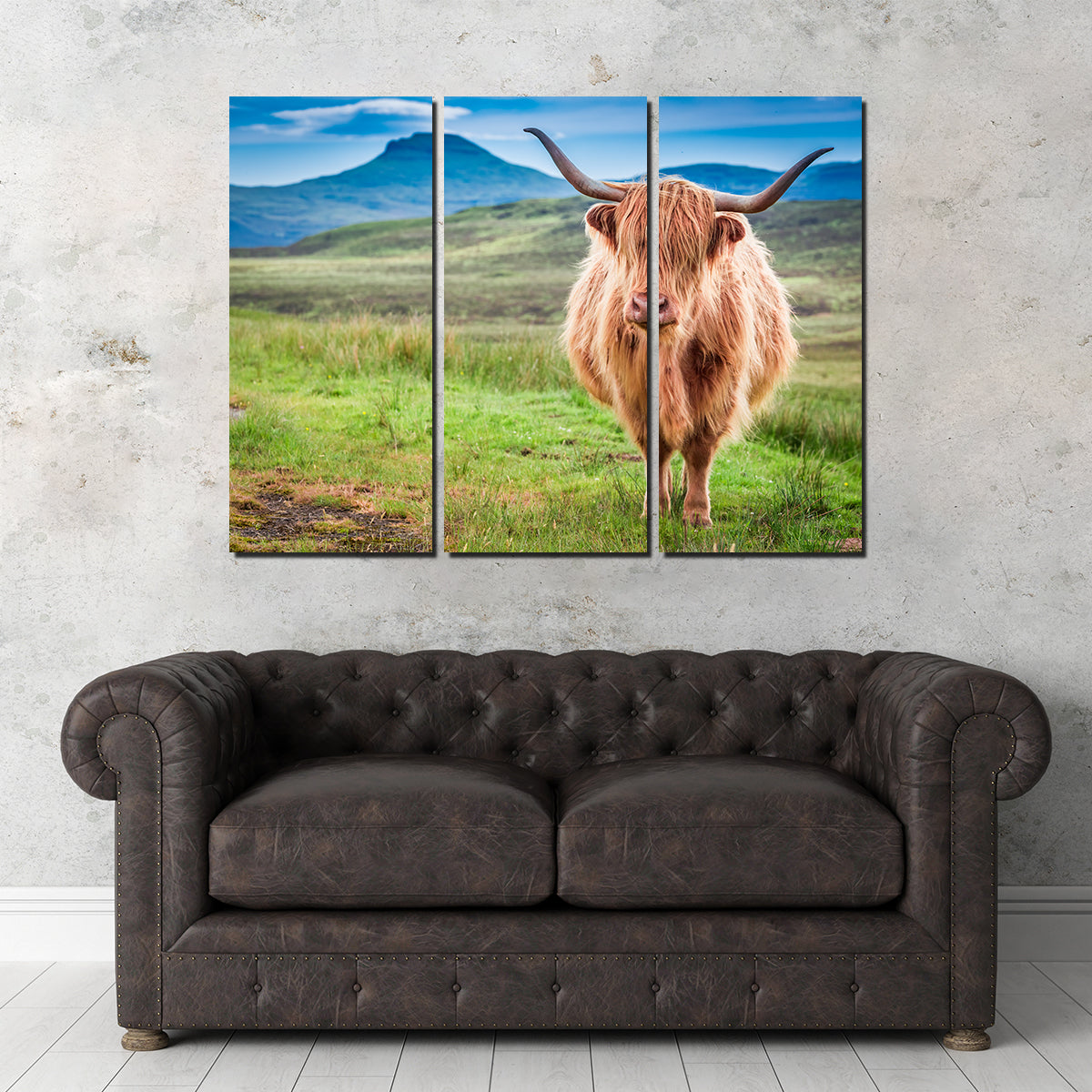 Highland Cow in Lsle of Skye Wall Art