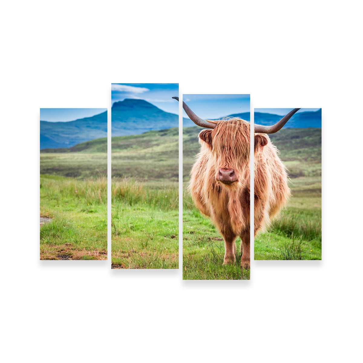 Highland Cow in Lsle of Skye Wall Art
