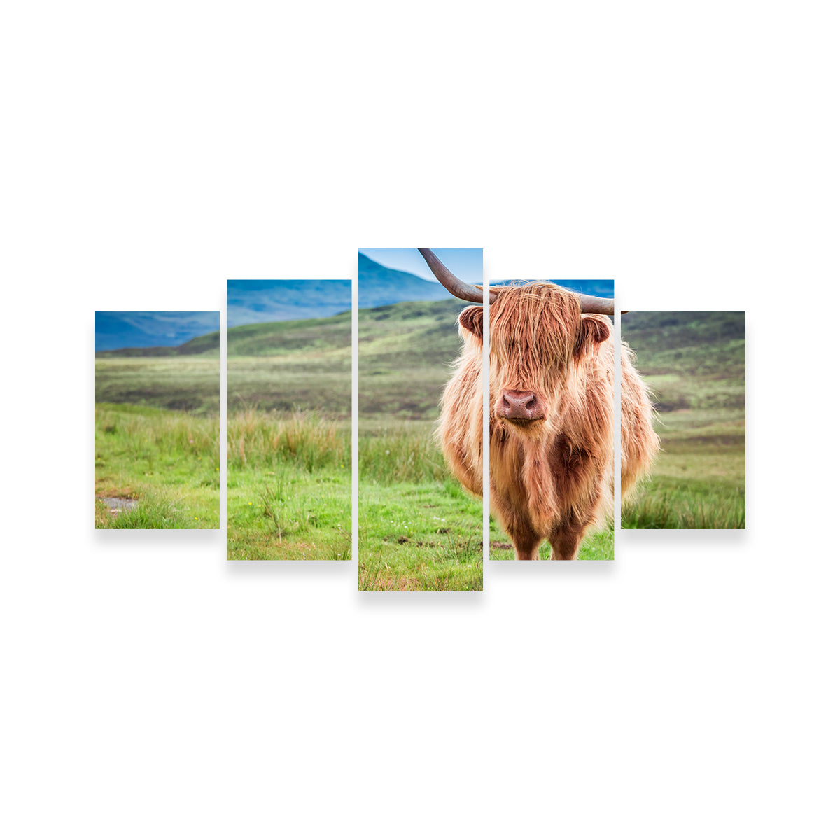 Highland Cow in Lsle of Skye Wall Art