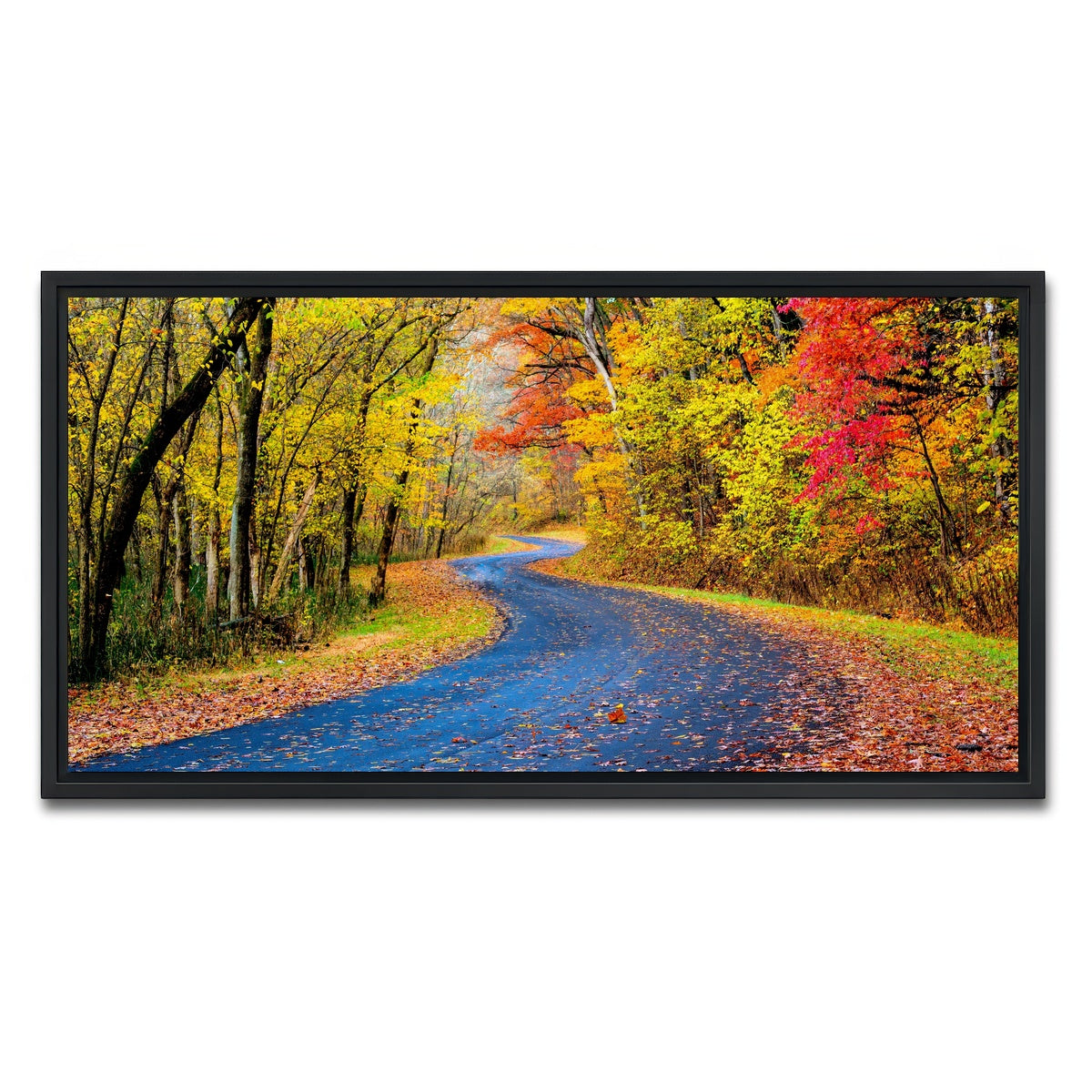 AUTO-MOCKUP WHITE | Hocking Hills fall foliage | 1 Piece | Black Framed Canvas | group=2x1