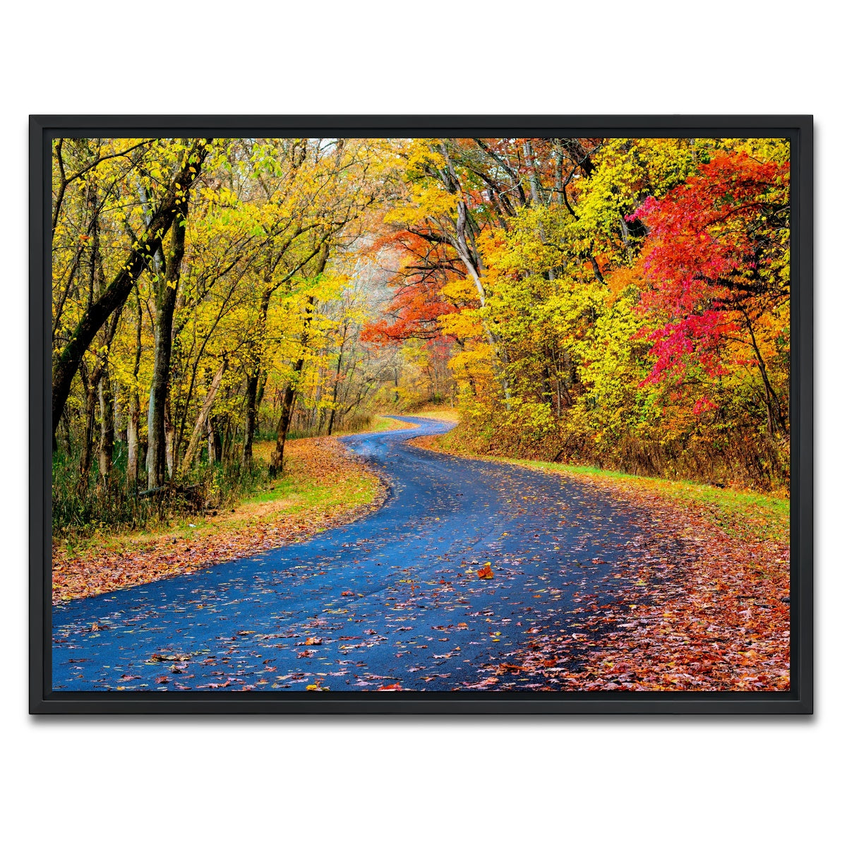 AUTO-MOCKUP WHITE | Hocking Hills fall foliage | 1 Piece | Black Framed Canvas | group=4x3