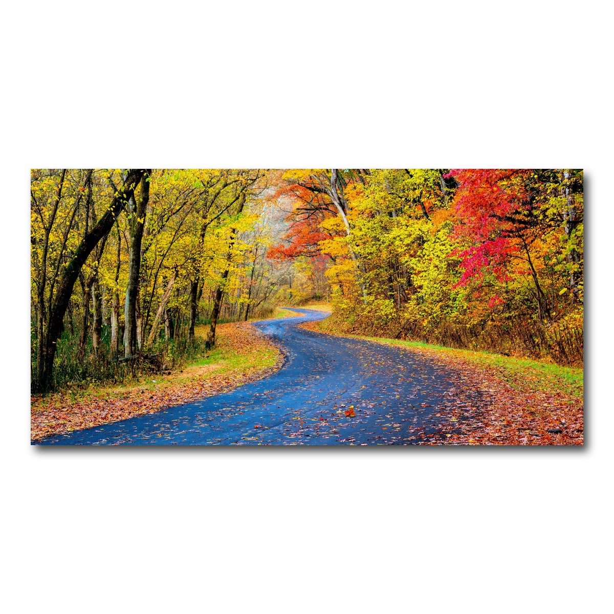AUTO-MOCKUP WHITE | Hocking Hills fall foliage | 1 Piece | Gallery Wrap Canvas | group=2x1