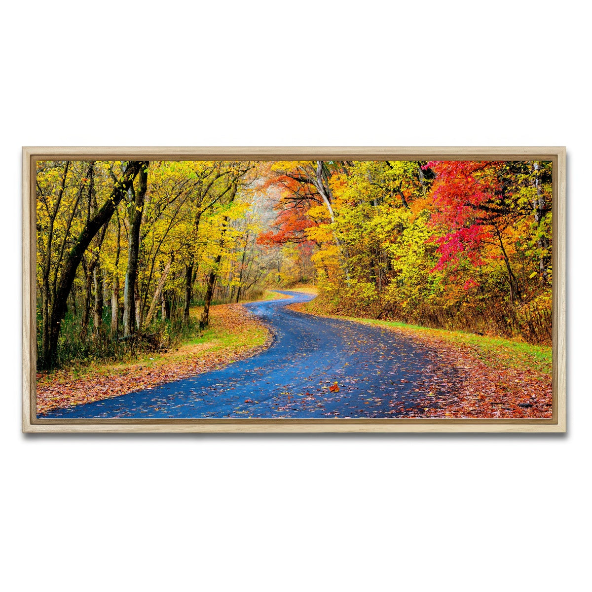 AUTO-MOCKUP WHITE | Hocking Hills fall foliage | 1 Piece | Natural Framed Canvas | group=2x1