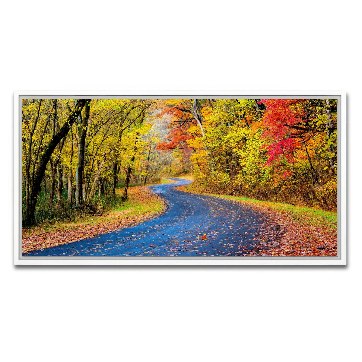 AUTO-MOCKUP WHITE | Hocking Hills fall foliage | 1 Piece | White Framed Canvas | group=2x1