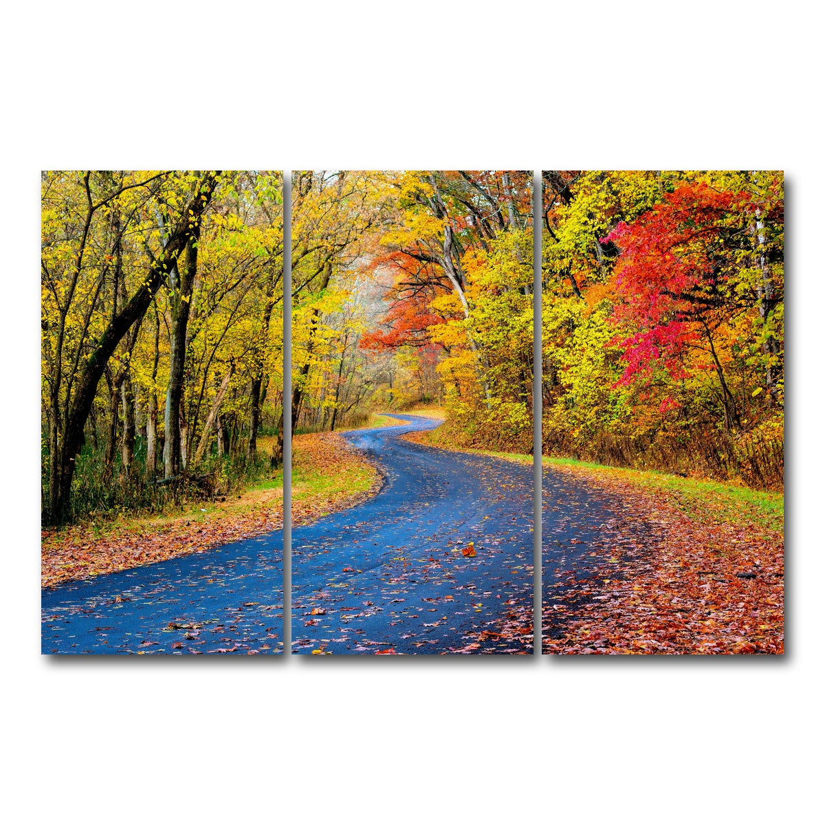 AUTO-MOCKUP WHITE | Hocking Hills fall foliage | 3 Piece | Gallery Wrap Canvas | group=12x24