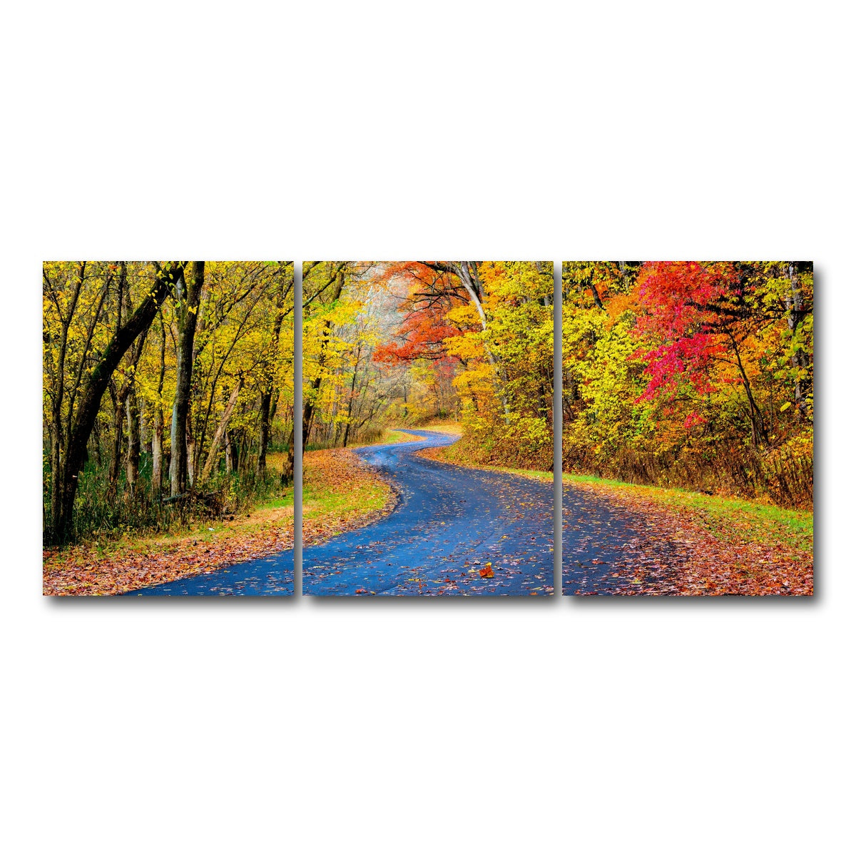 AUTO-MOCKUP WHITE | Hocking Hills fall foliage | 3 Piece | Gallery Wrap Canvas | group=18x24