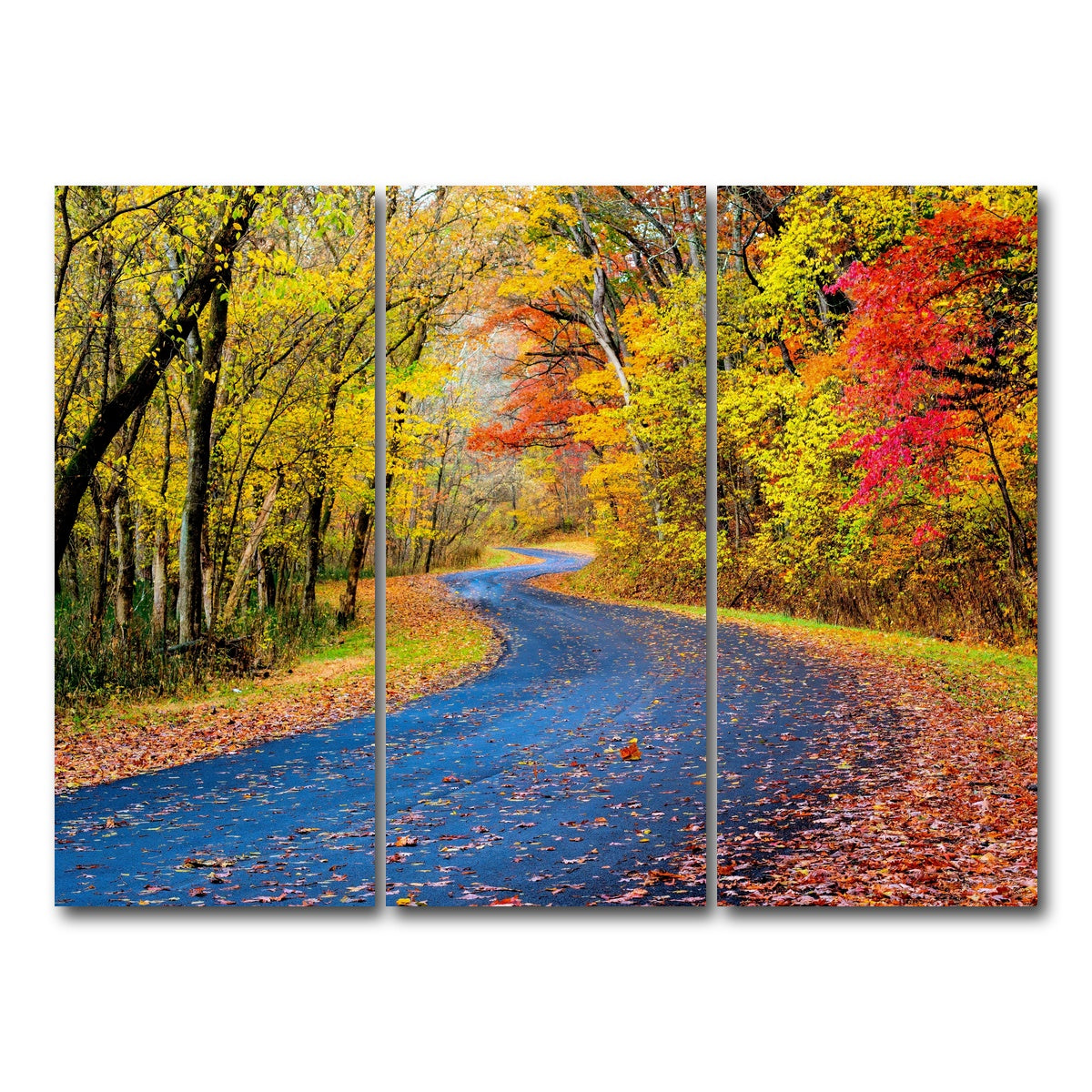 AUTO-MOCKUP WHITE | Hocking Hills fall foliage | 3 Piece | Gallery Wrap Canvas | group=8x18