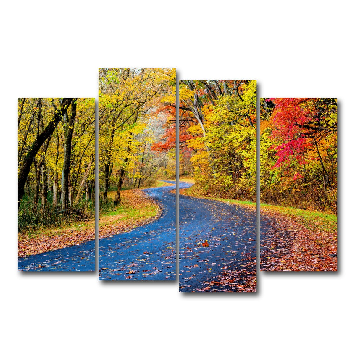 AUTO-MOCKUP WHITE | Hocking Hills fall foliage | 4 Piece | Gallery Wrap Canvas | group=4_normal