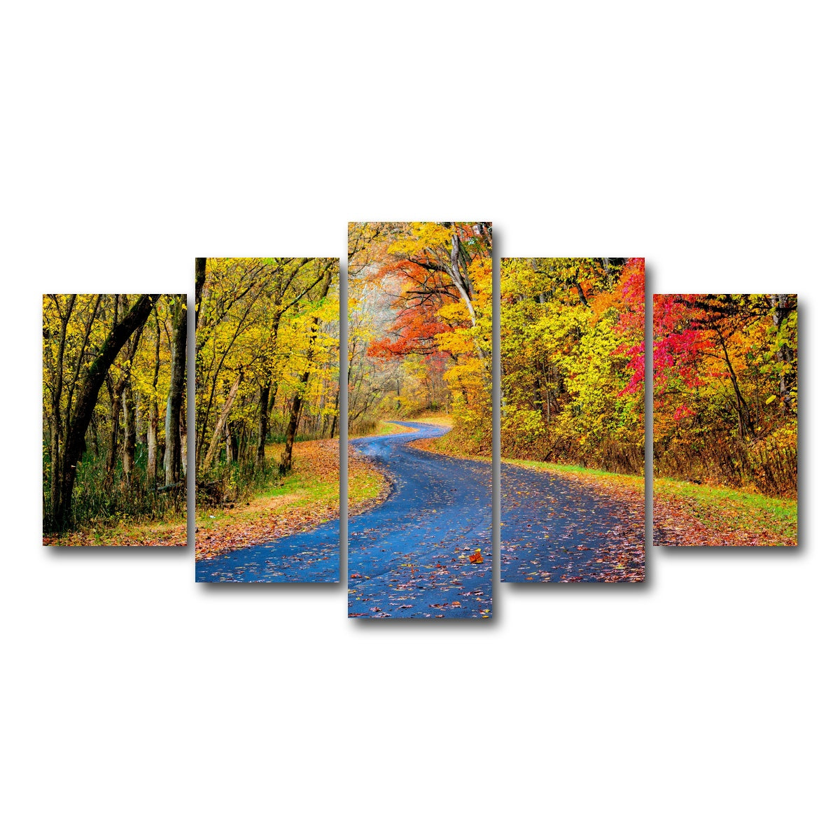 AUTO-MOCKUP WHITE | Hocking Hills fall foliage | 5 Piece | Gallery Wrap Canvas | group=5_normal