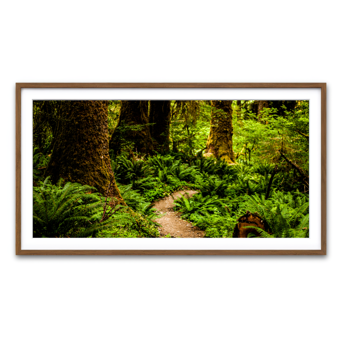 Framed Print 2x1 Walnut