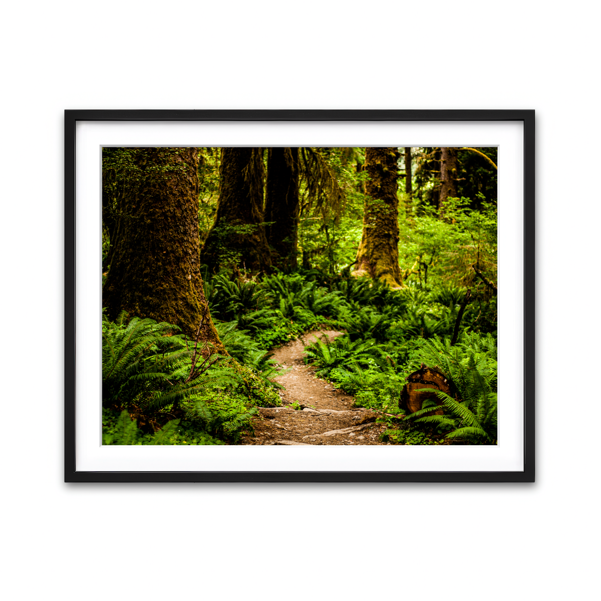 Framed Print 4x3 Black