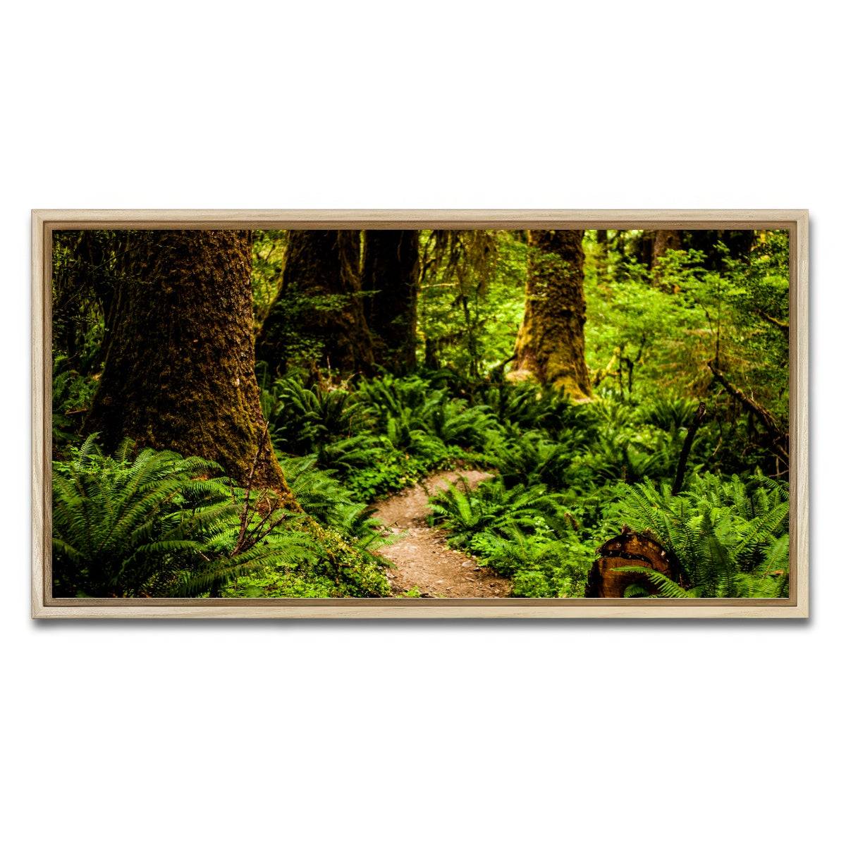 AUTO-MOCKUP WHITE | Hoh Rainforest | 1 Piece | Natural Framed Canvas | group=2x1