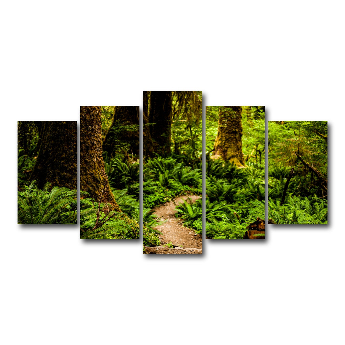 AUTO-MOCKUP WHITE | Hoh Rainforest | 5 Piece | Gallery Wrap Canvas | group=5_normal