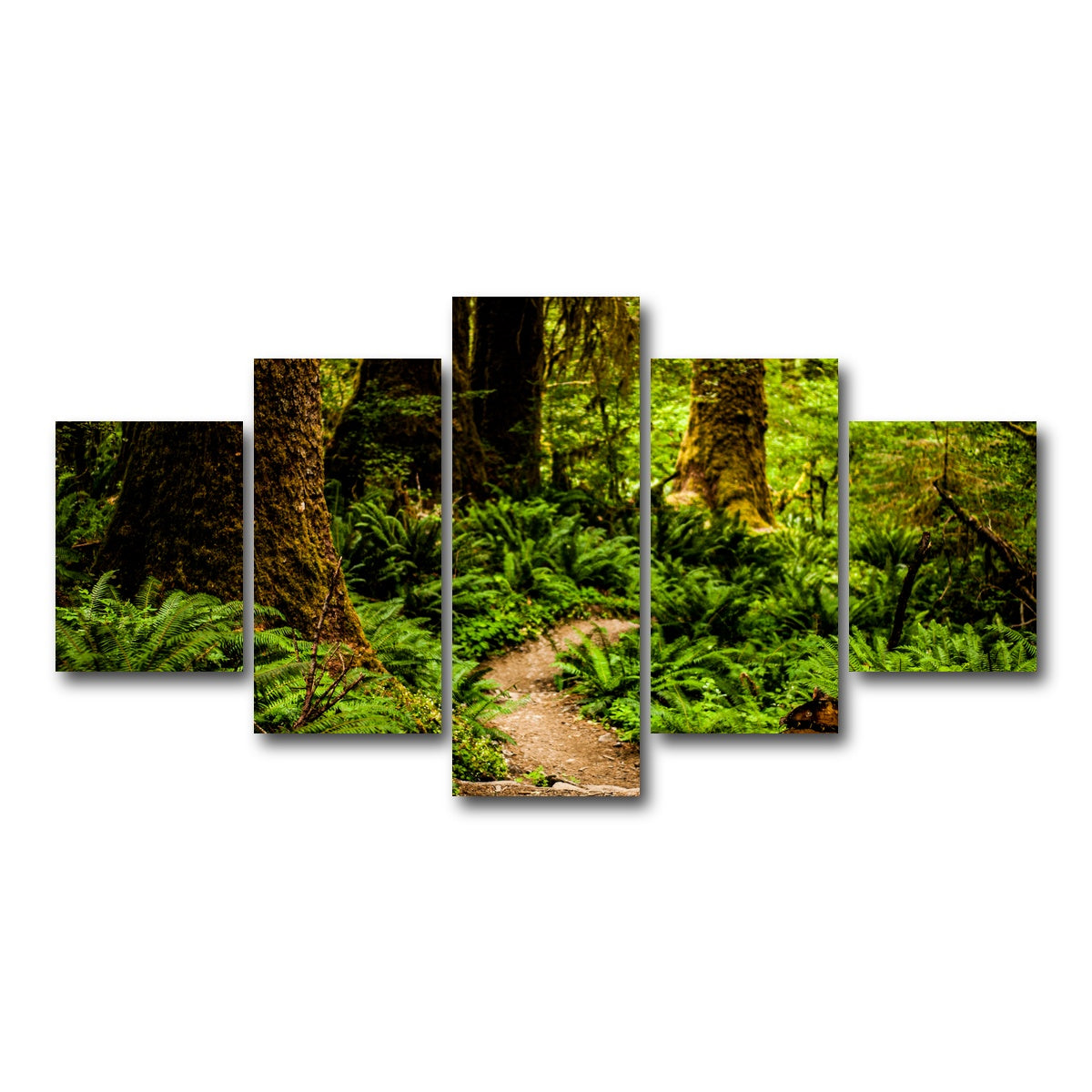AUTO-MOCKUP WHITE | Hoh Rainforest | 5 Piece | Gallery Wrap Canvas | group=5_short