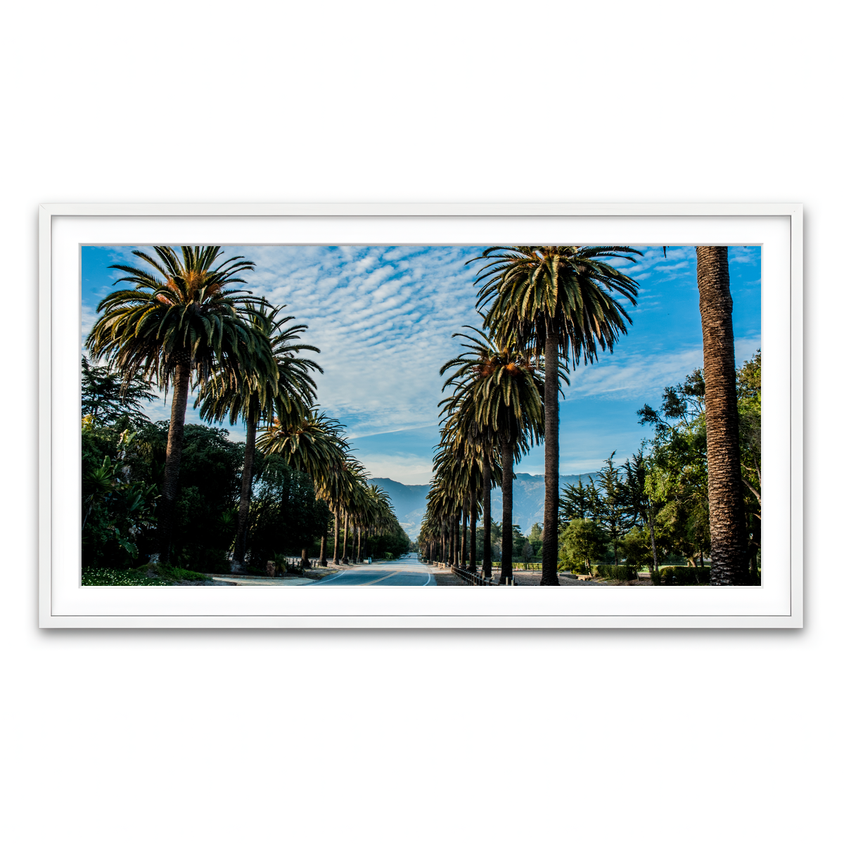Framed Print 2x1 White