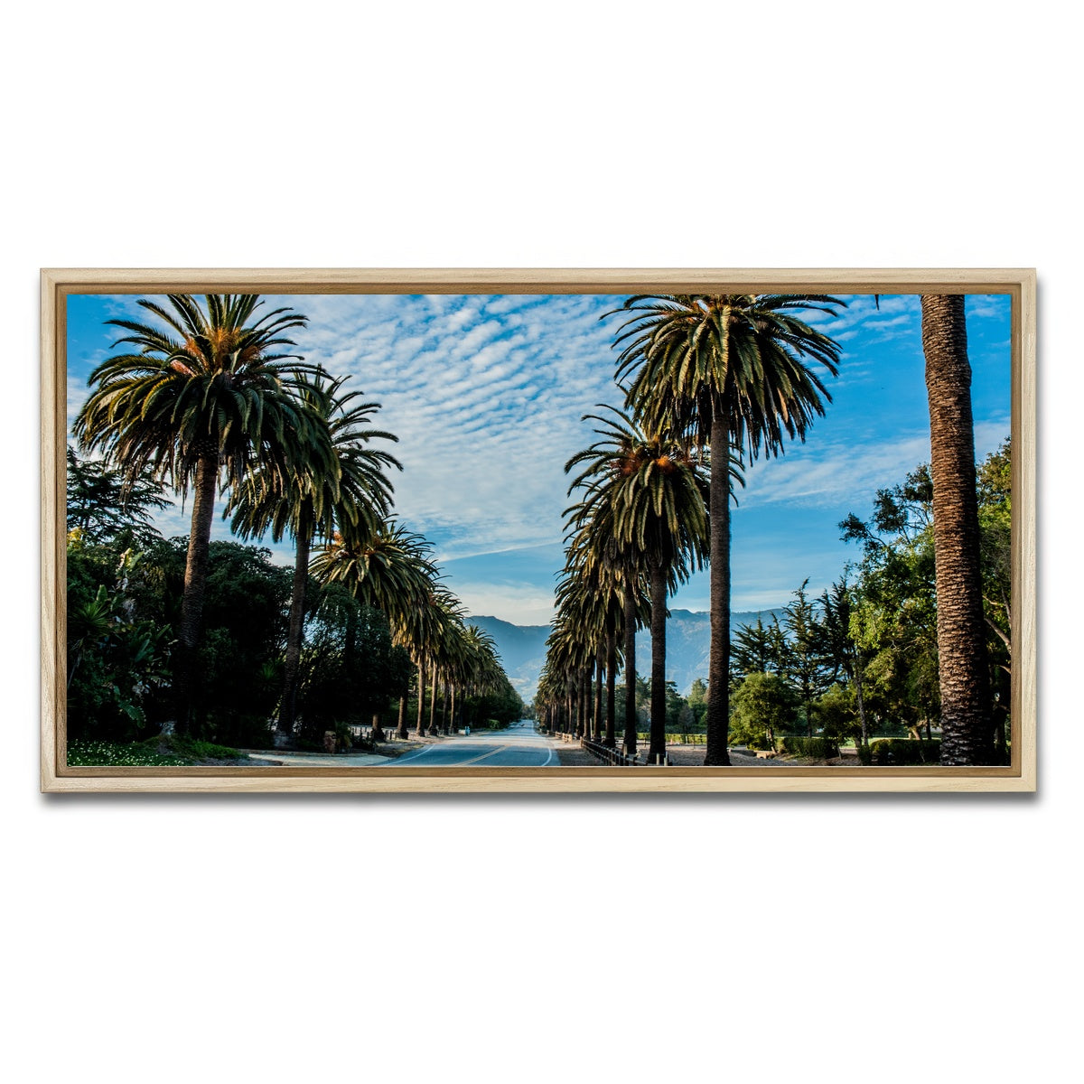 AUTO-MOCKUP WHITE | Hope Ranch Palm Drive | 1 Piece | Natural Framed Canvas | group=2x1
