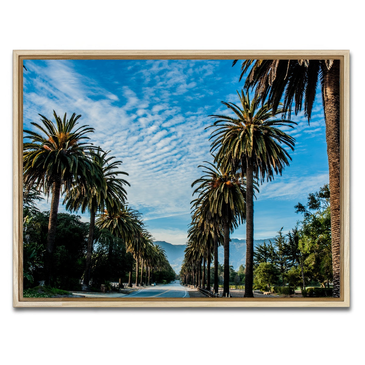 AUTO-MOCKUP WHITE | Hope Ranch Palm Drive | 1 Piece | Natural Framed Canvas | group=4x3