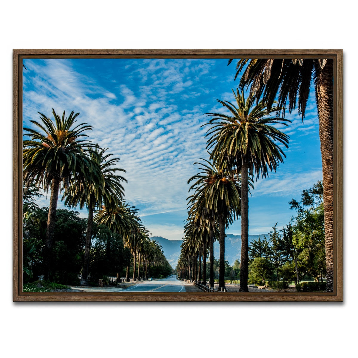 AUTO-MOCKUP WHITE | Hope Ranch Palm Drive | 1 Piece | Walnut Framed Canvas | group=4x3