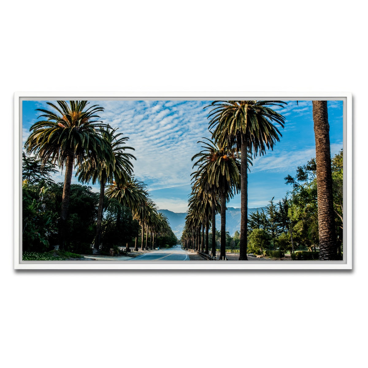 AUTO-MOCKUP WHITE | Hope Ranch Palm Drive | 1 Piece | White Framed Canvas | group=2x1