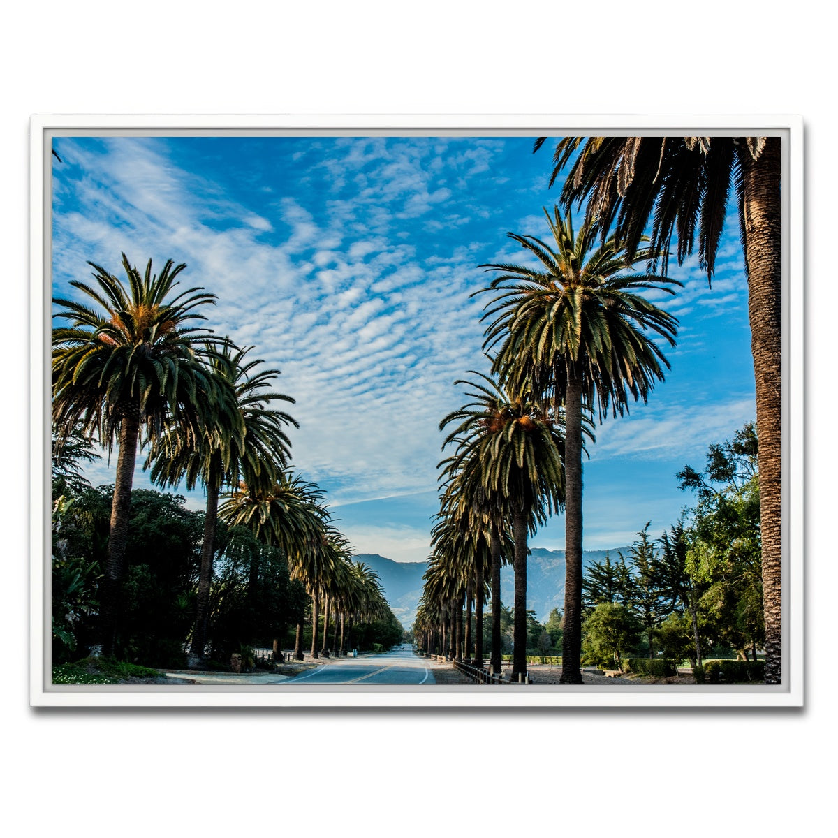 AUTO-MOCKUP WHITE | Hope Ranch Palm Drive | 1 Piece | White Framed Canvas | group=4x3