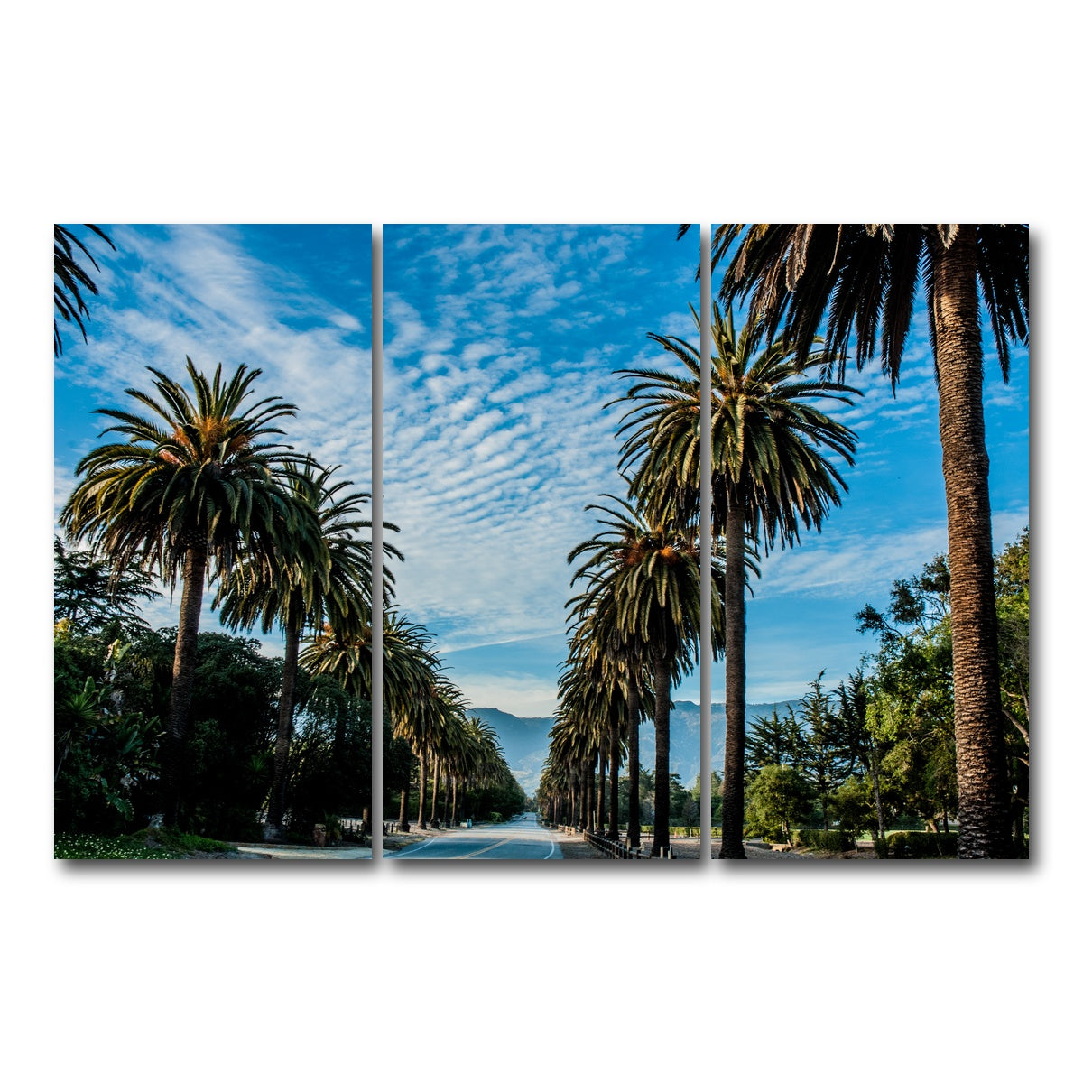 AUTO-MOCKUP WHITE | Hope Ranch Palm Drive | 3 Piece | Gallery Wrap Canvas | group=12x24