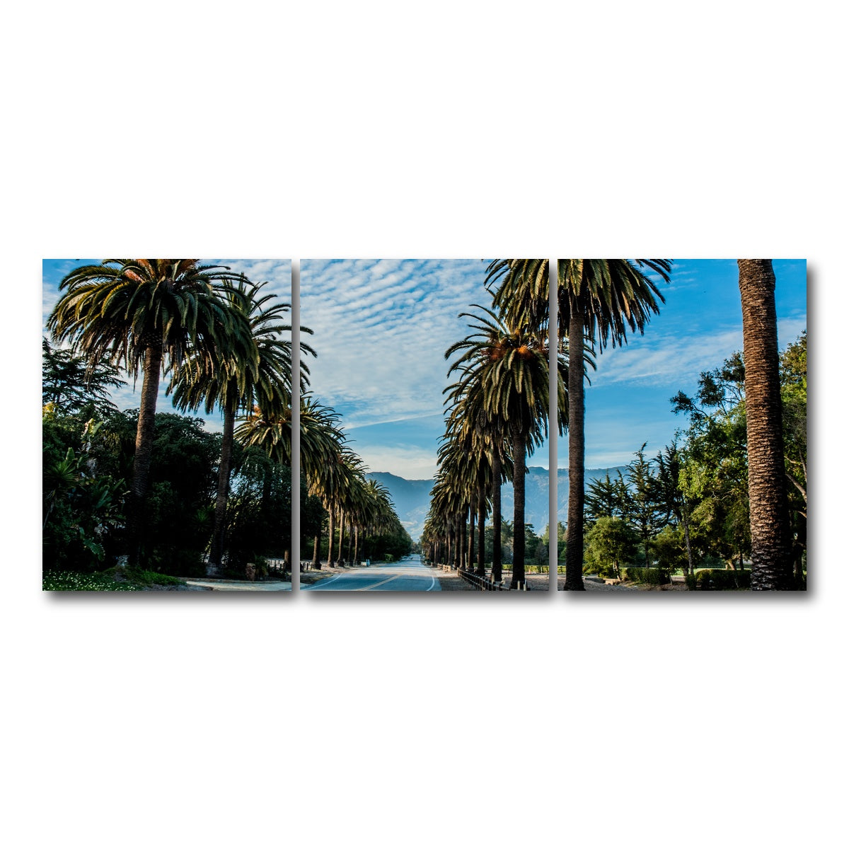 AUTO-MOCKUP WHITE | Hope Ranch Palm Drive | 3 Piece | Gallery Wrap Canvas | group=18x24