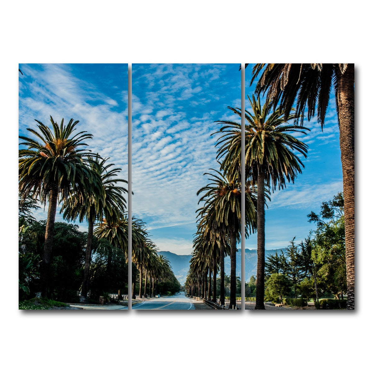 AUTO-MOCKUP WHITE | Hope Ranch Palm Drive | 3 Piece | Gallery Wrap Canvas | group=8x18