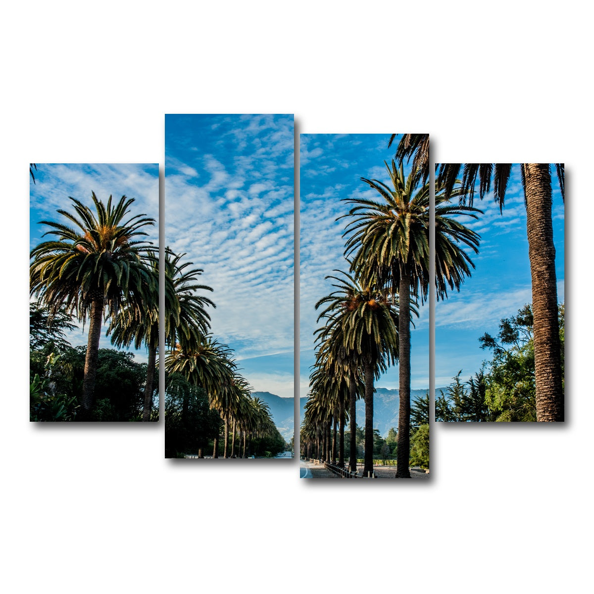 AUTO-MOCKUP WHITE | Hope Ranch Palm Drive | 4 Piece | Gallery Wrap Canvas | group=4_short