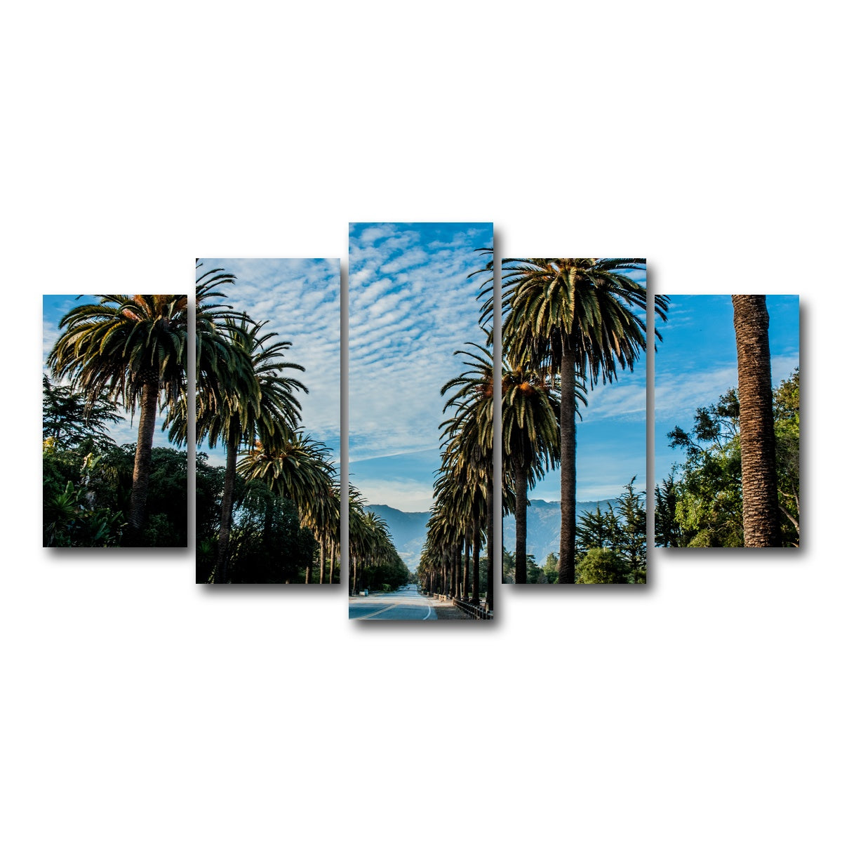 AUTO-MOCKUP WHITE | Hope Ranch Palm Drive | 5 Piece | Gallery Wrap Canvas | group=5_normal