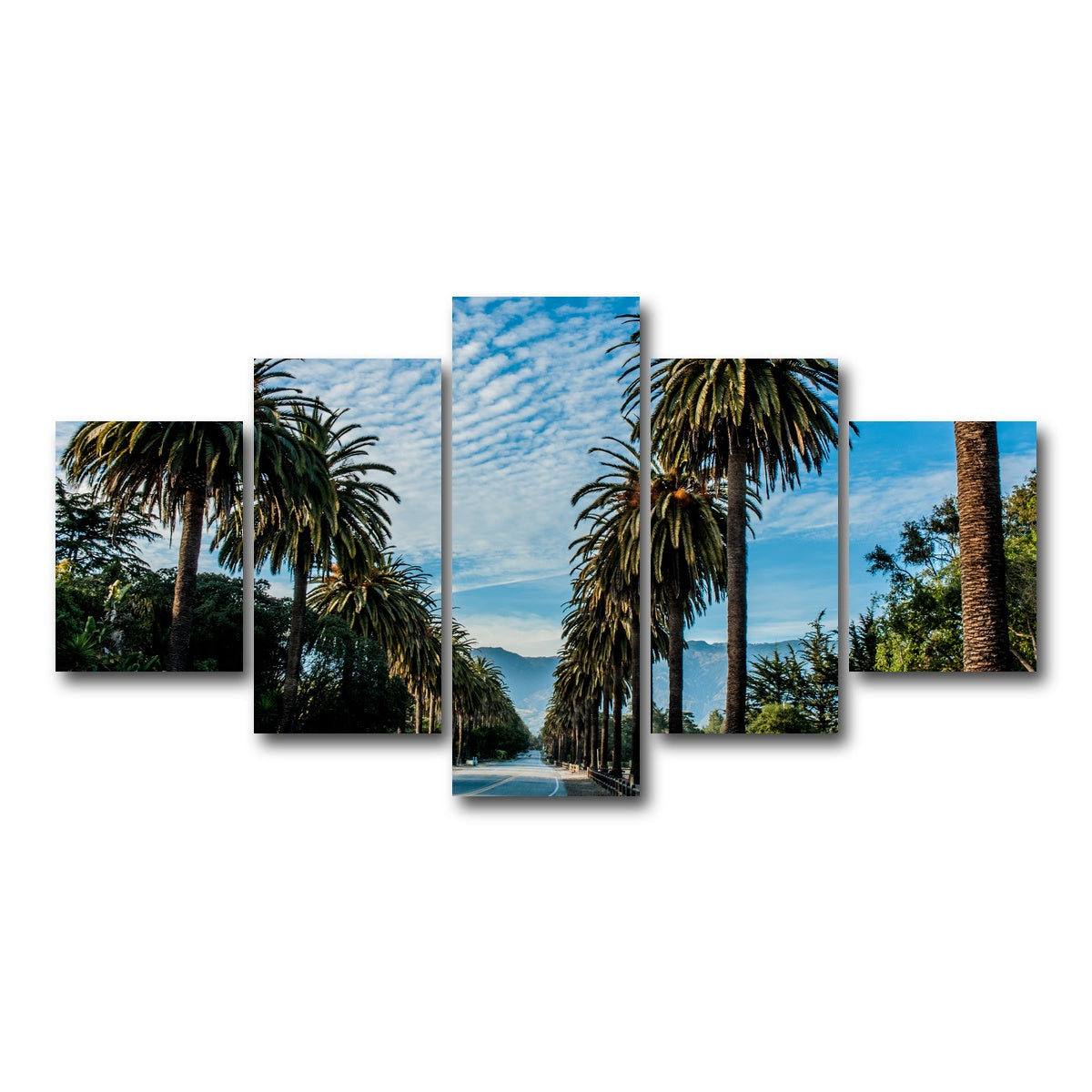 AUTO-MOCKUP WHITE | Hope Ranch Palm Drive | 5 Piece | Gallery Wrap Canvas | group=5_short