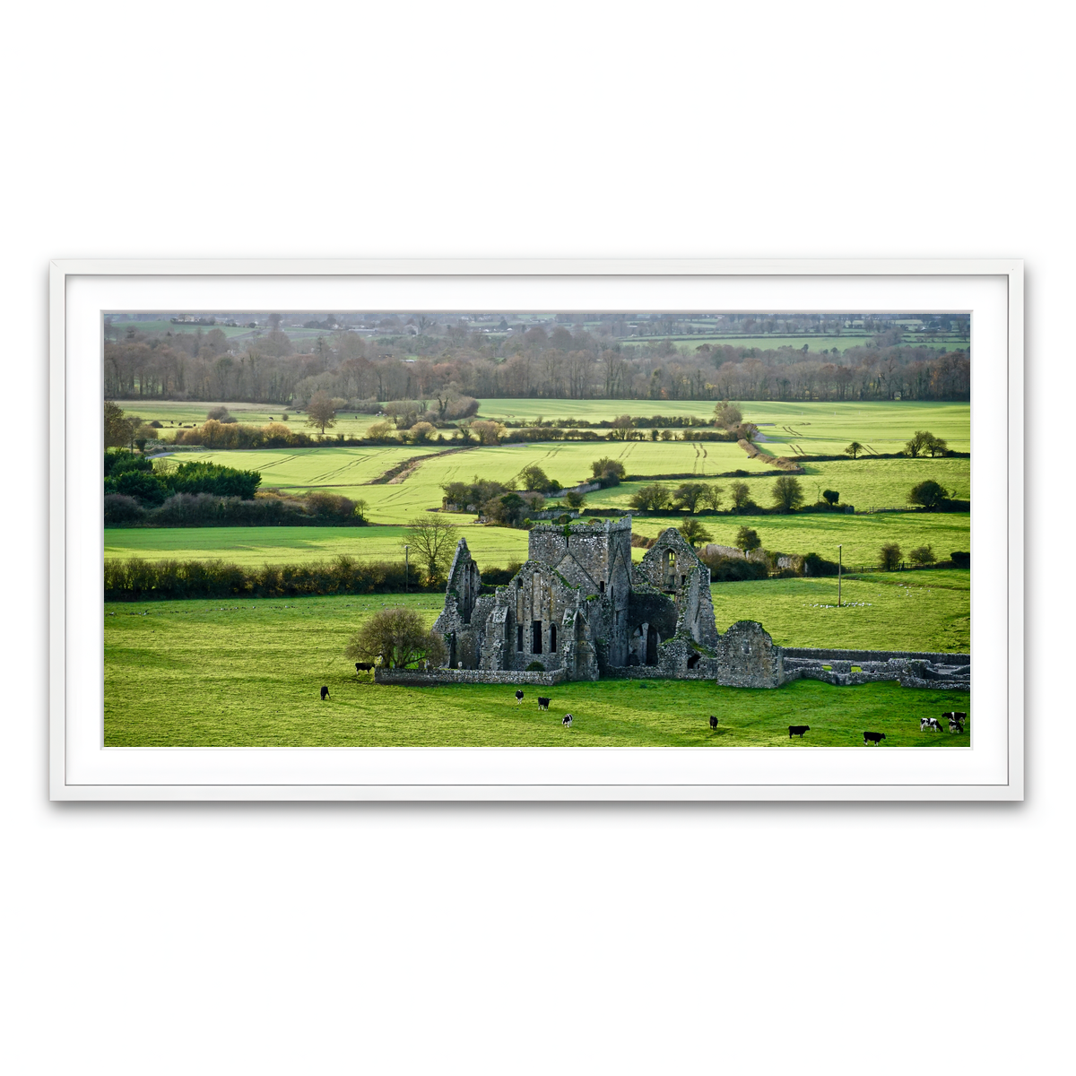 Framed Print 2x1 White