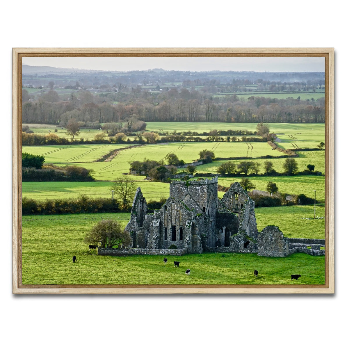AUTO-MOCKUP WHITE | Hore Abbey, Ireland | 1 Piece | Natural Framed Canvas | group=4x3