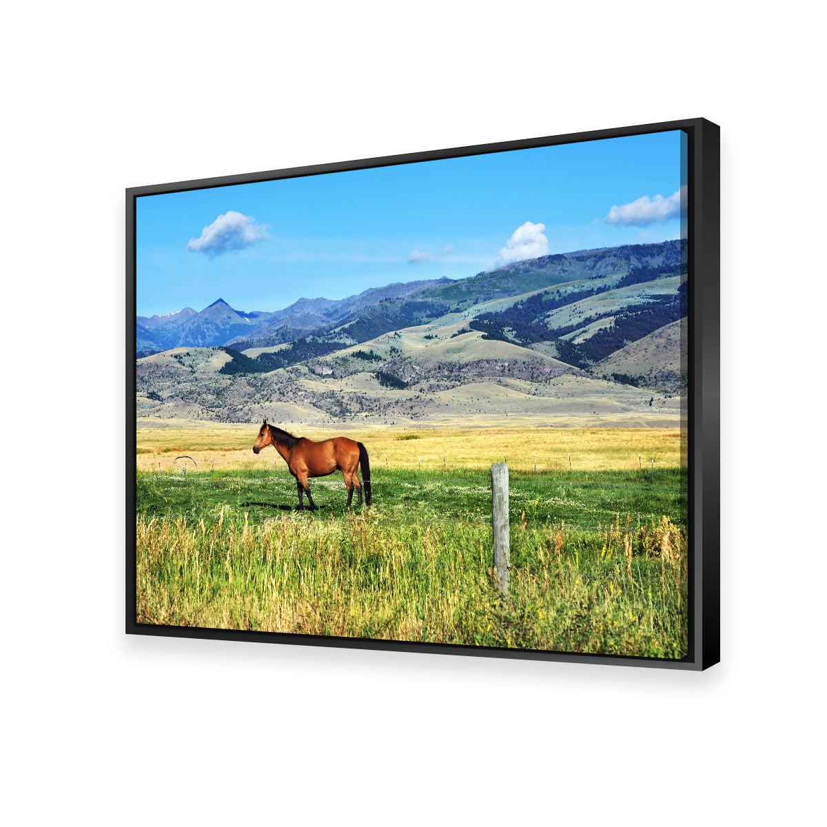 Horse Grazes in Paradise Valley Wall Art