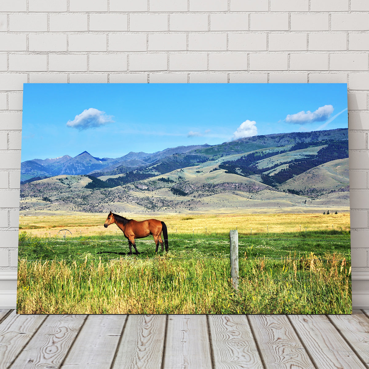 Horse Grazes in Paradise Valley Wall Art