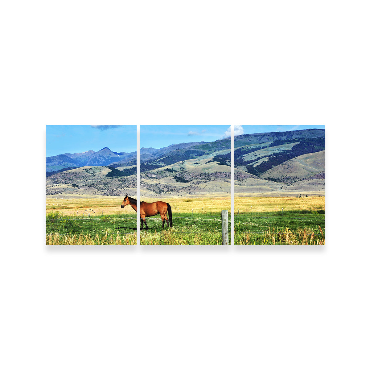 Horse Grazes in Paradise Valley Wall Art