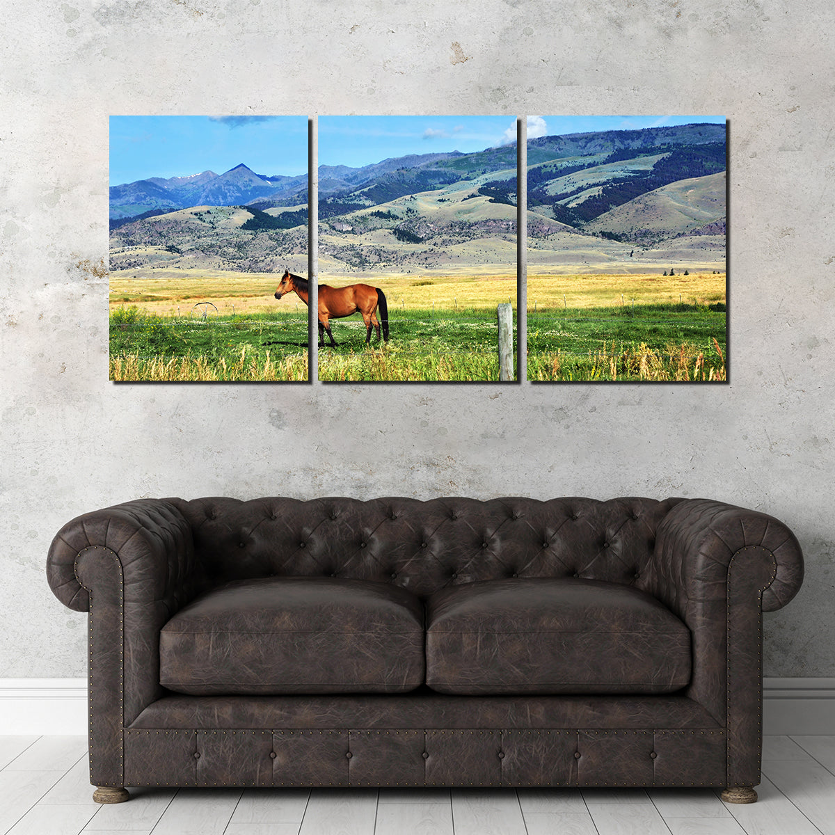 Horse Grazes in Paradise Valley Wall Art