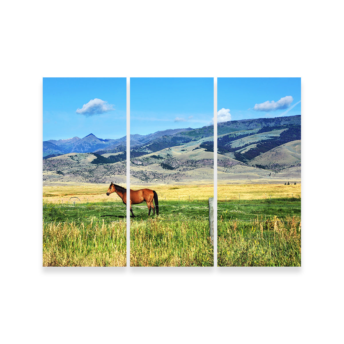 Horse Grazes in Paradise Valley Wall Art